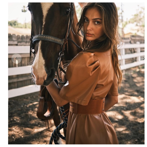 23 Soft Faux Leather Puff Short Sleeve Dress - Picture 4 of 7